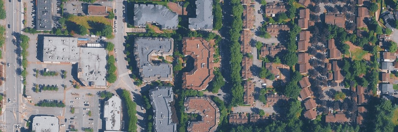 The Birches building photo
